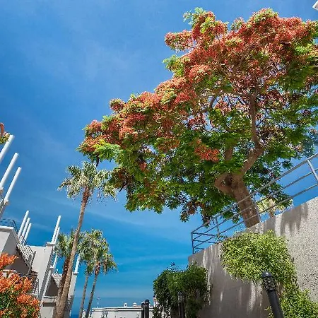 Hotell Olivos Costa Adeje (Tenerife)