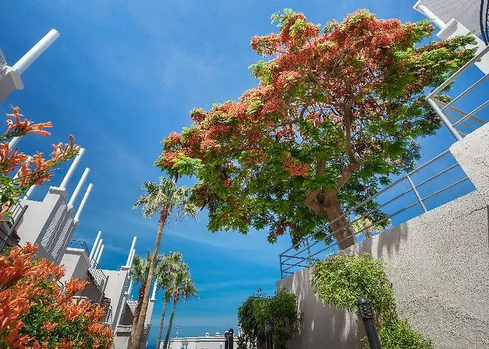 Otel Olivos Costa Adeje