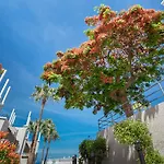 מלון Olivos אדחה