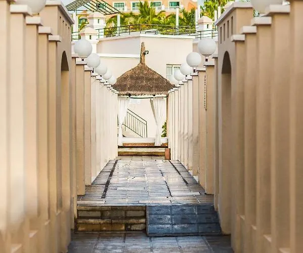 Olivos Costa Adeje (Tenerife)